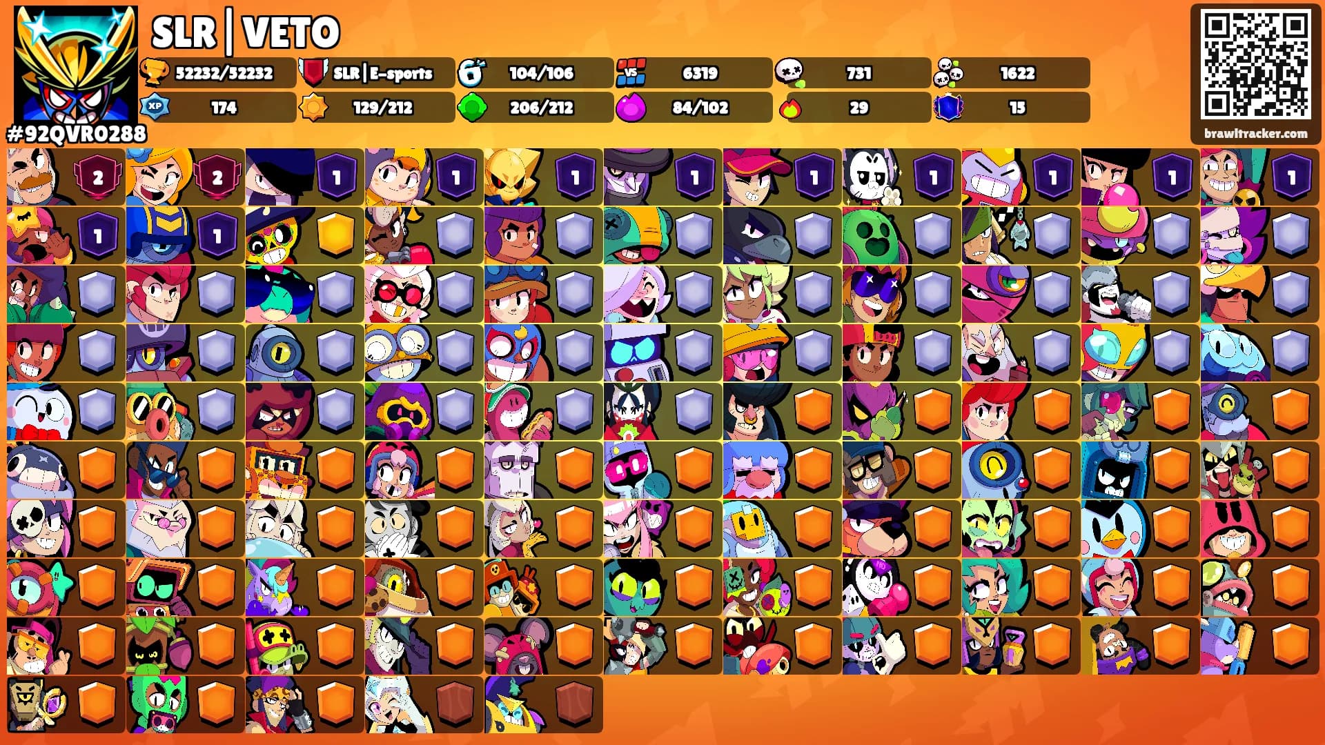 SLR|VETO's Ranks