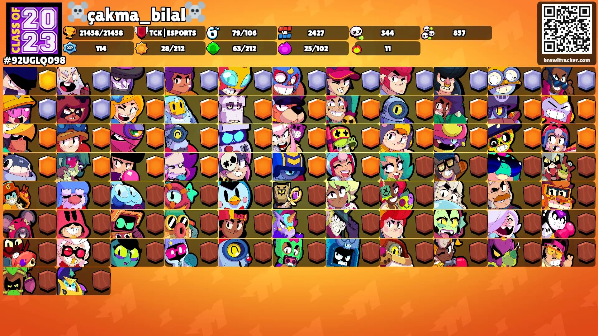 ☠️çakma_bilal☠️'s Ranks