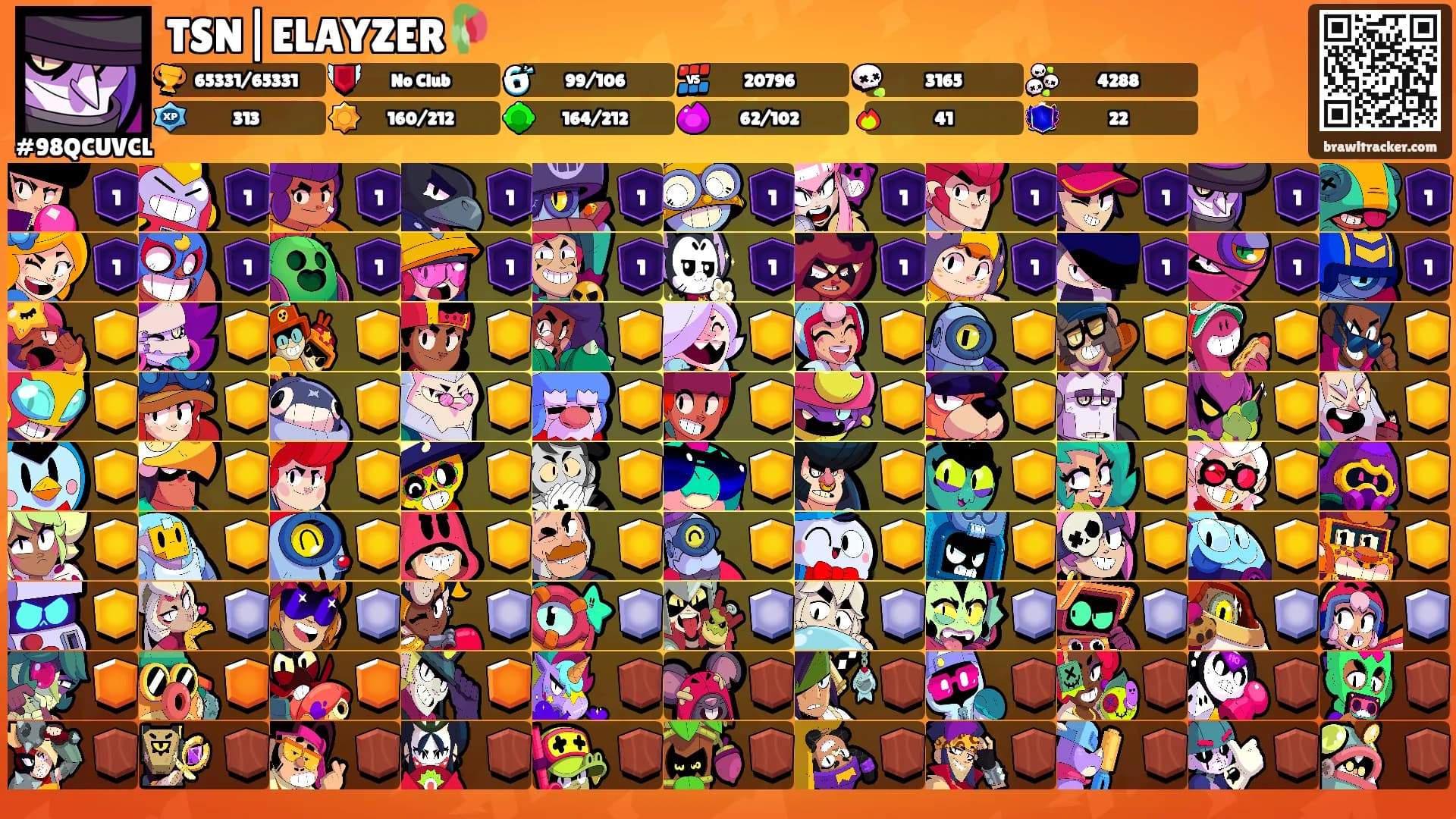 TSN|ELAYZER🥀's Ranks