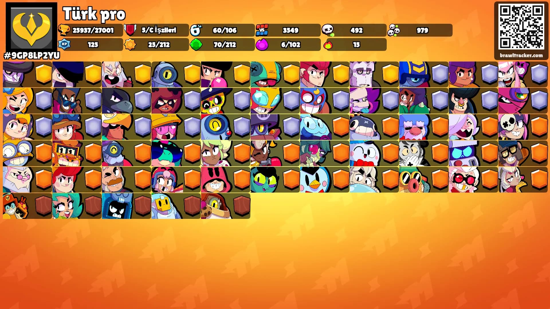Türk pro's Ranks