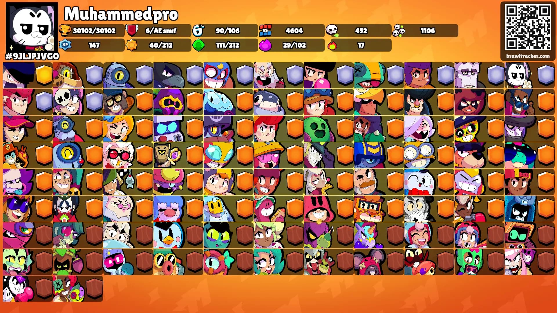 Muhammedpro's Ranks