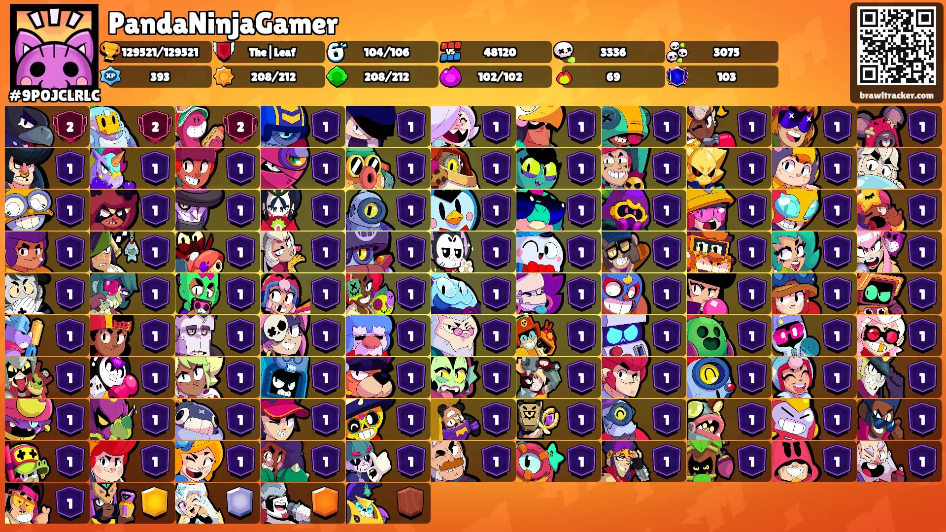 PandaNinjaGamer's Ranks