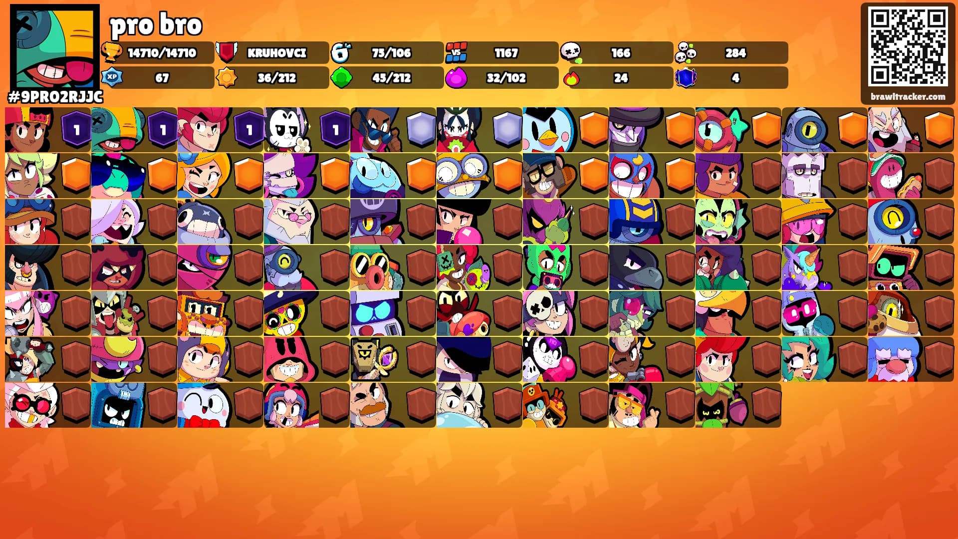 pro bro's Ranks