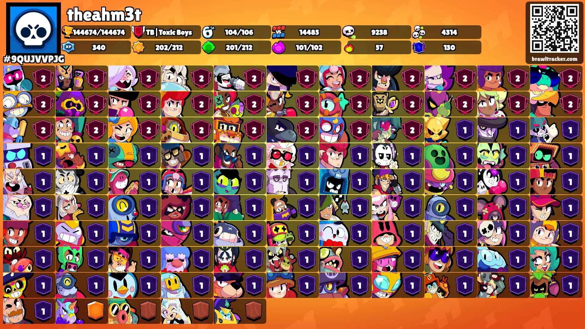 theahm3t's Ranks