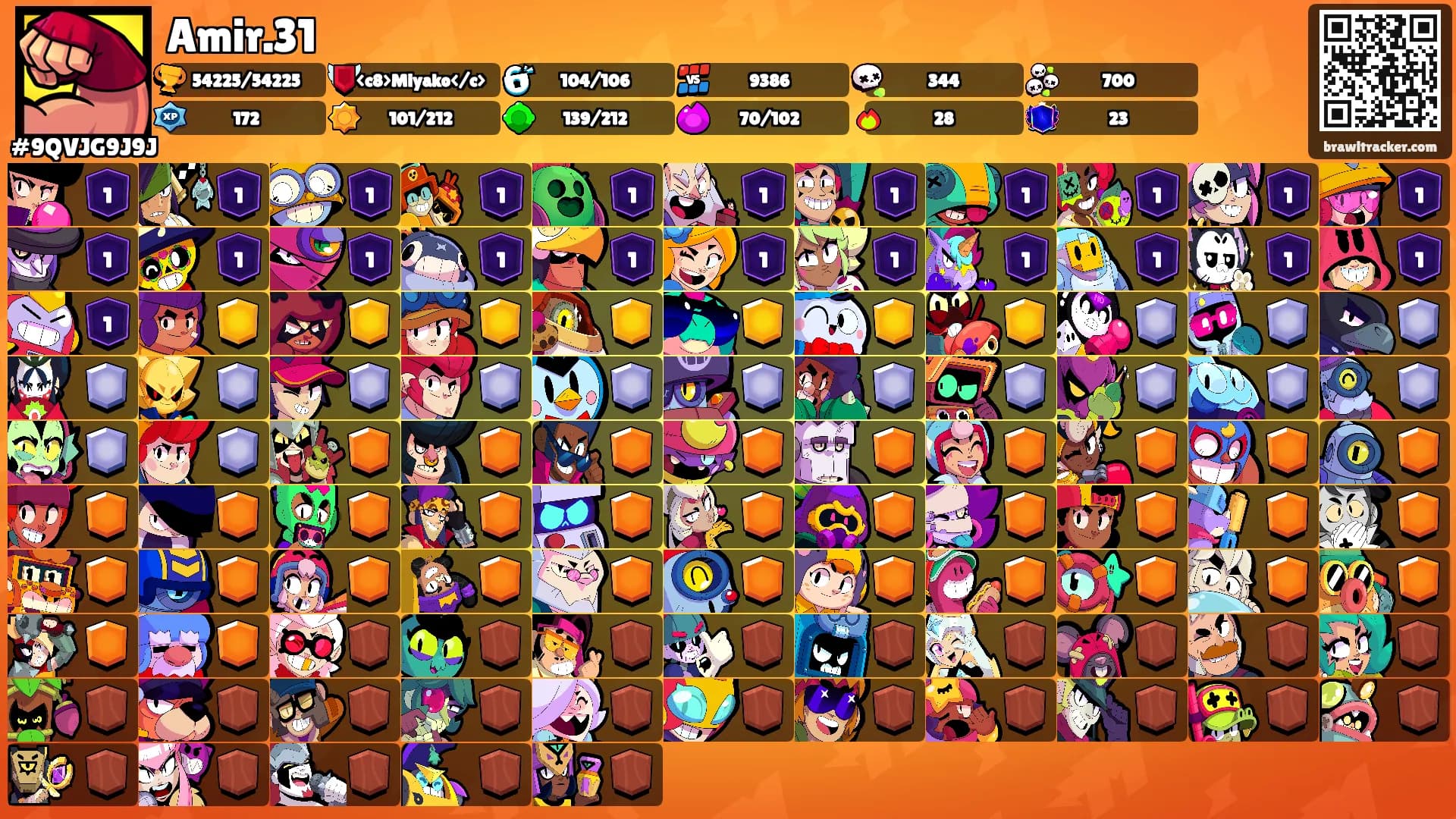 Amir.31's Ranks