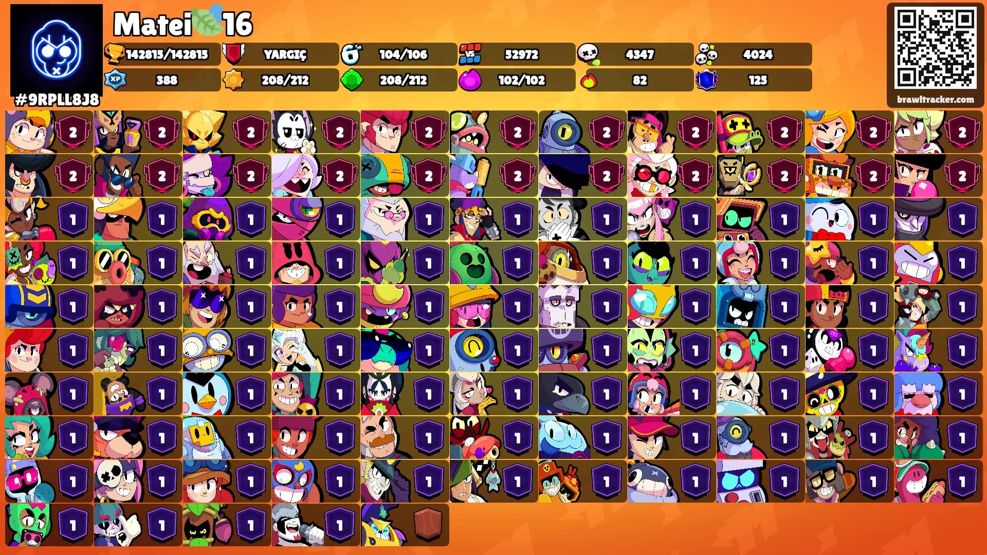 Matei🍃16's Ranks