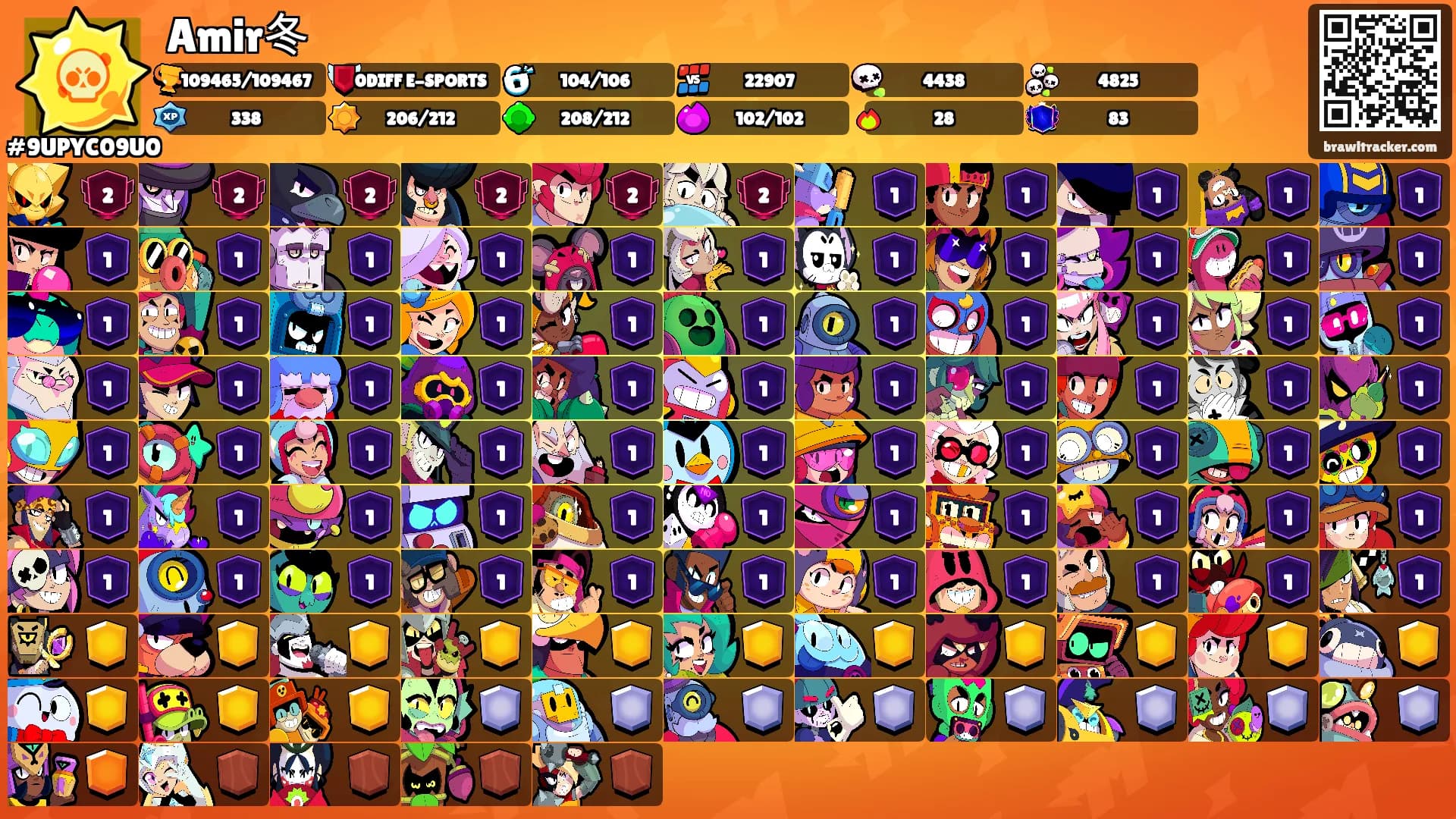 Amir冬's Ranks