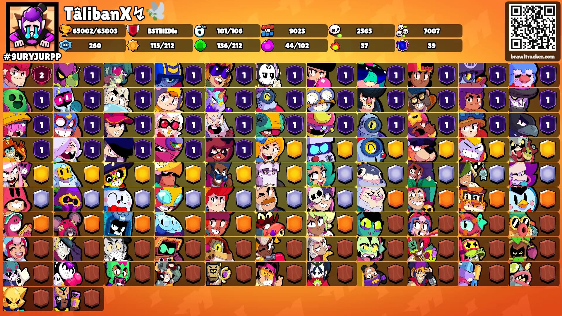 TâlibanX↯🕊️'s Ranks
