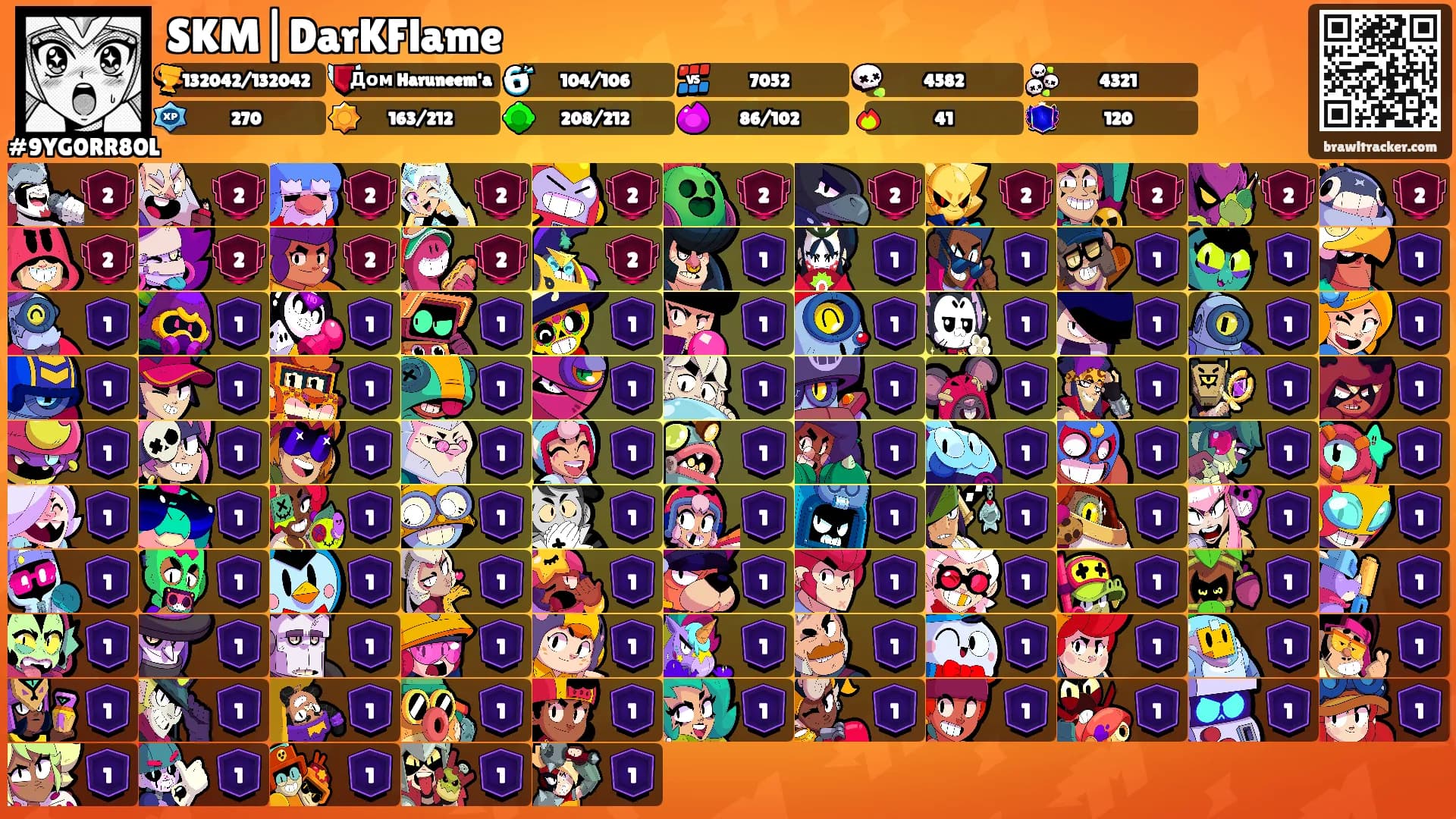 SKM|DarKFlame's Ranks