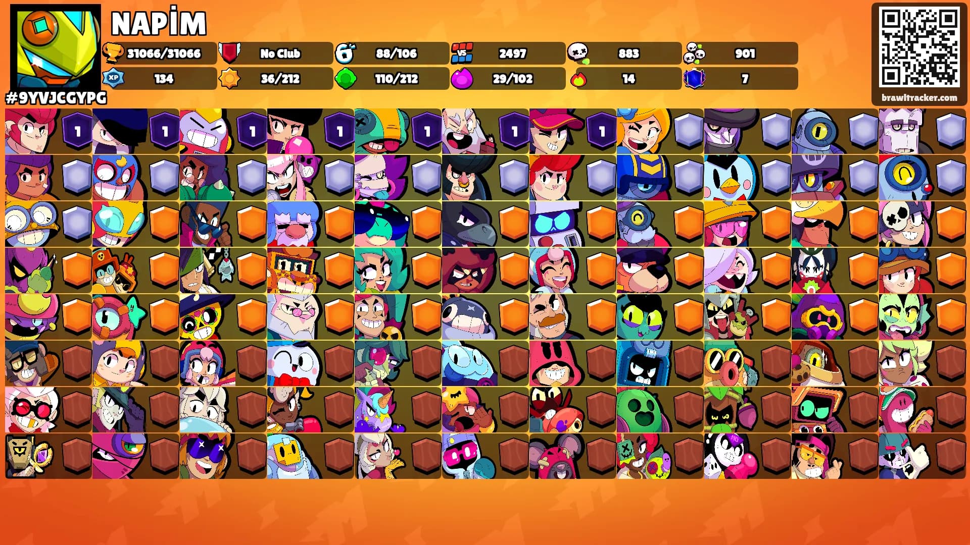 NAPİM's Ranks