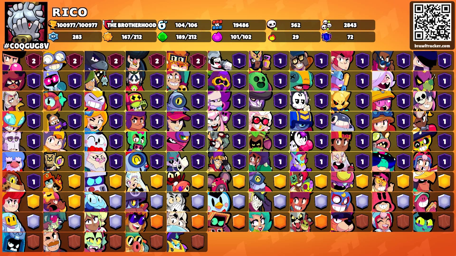 ʀɪᴄᴏ's Ranks