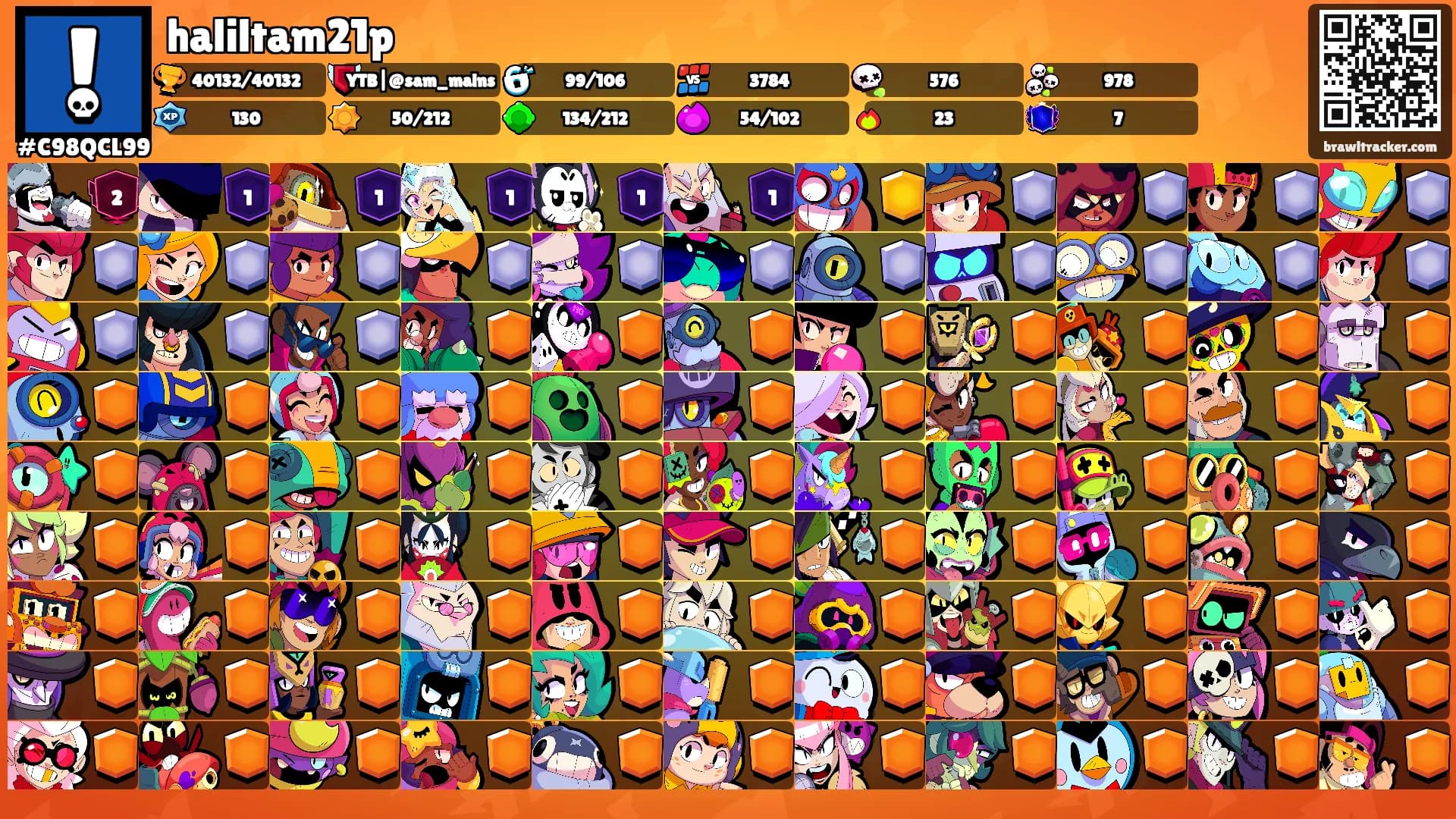 haliltam21p's Ranks