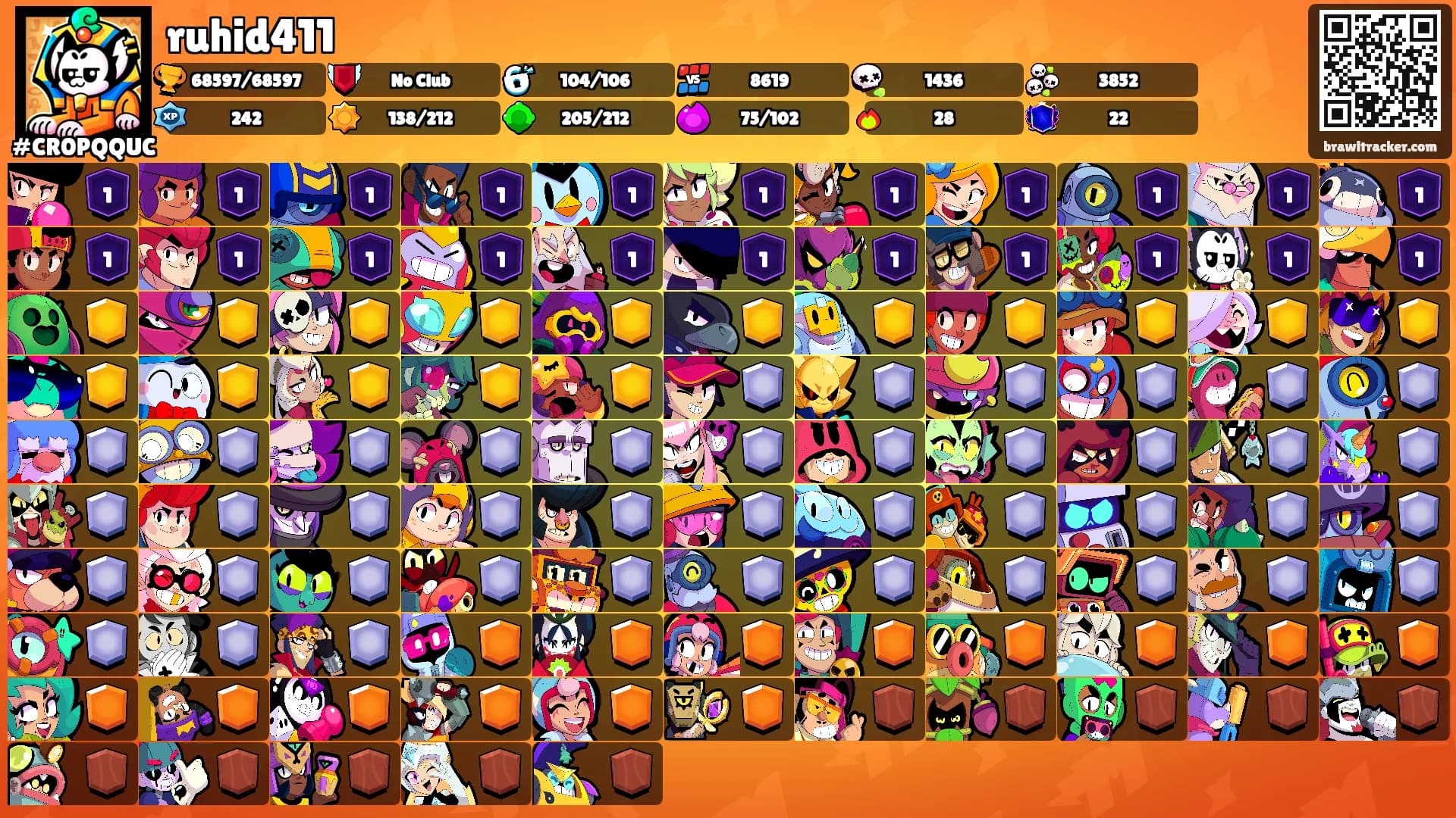 ruhid411's Ranks