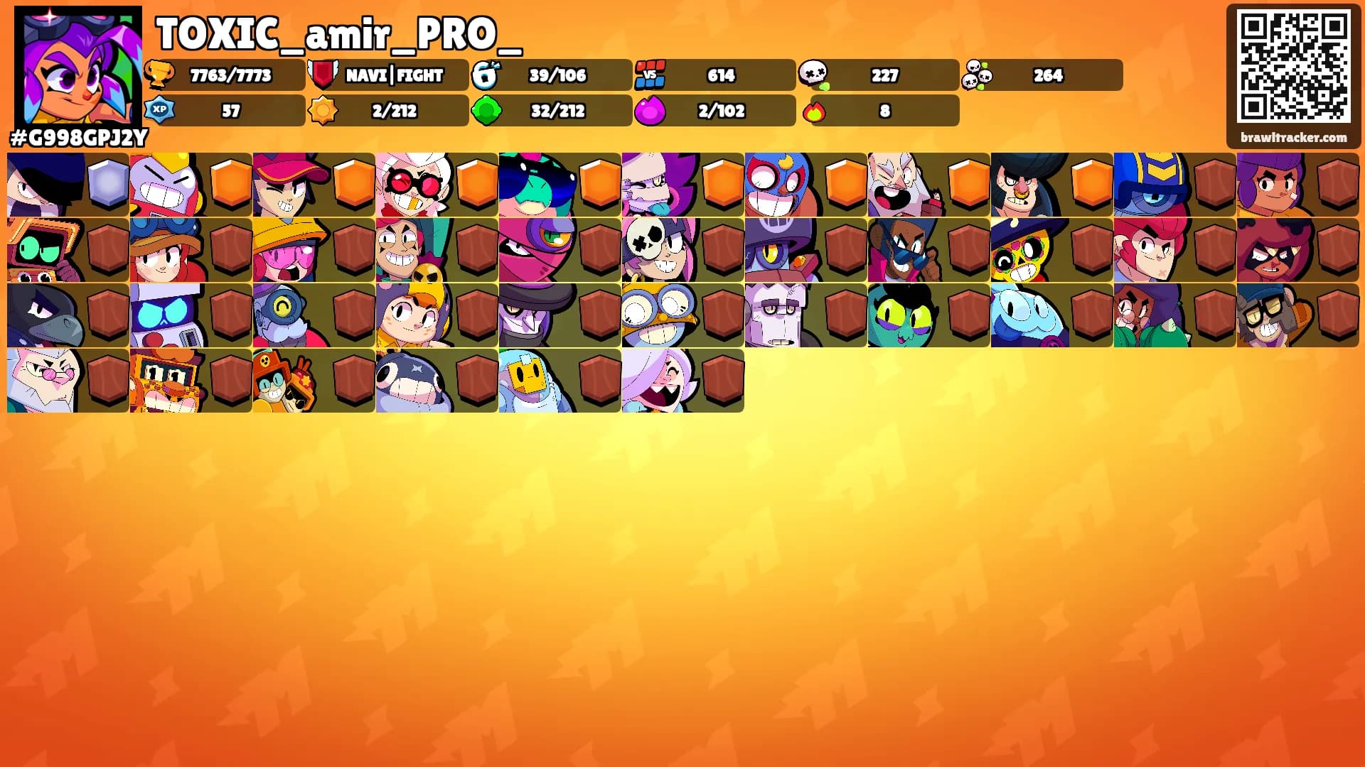 TOXIC_amir_PRO_'s Ranks