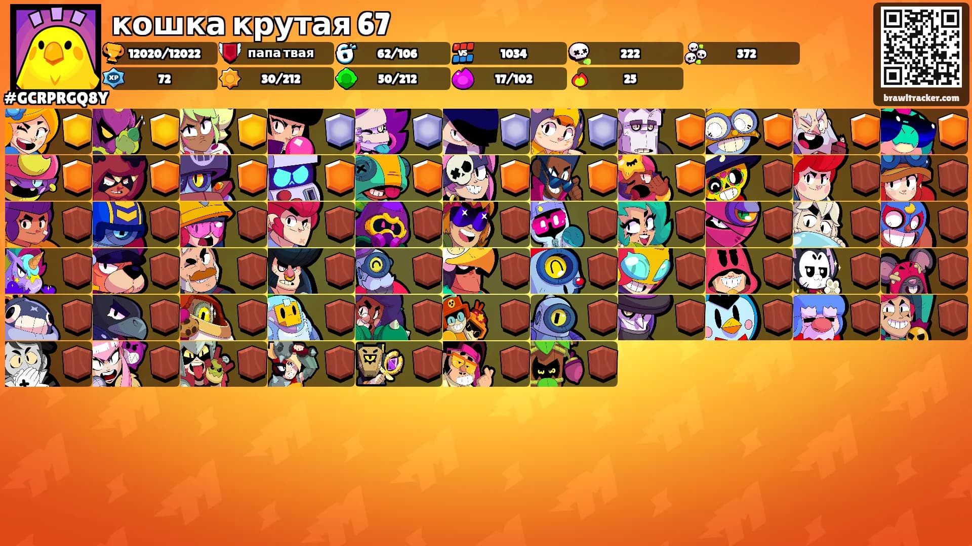 кошка крутая 67's Ranks