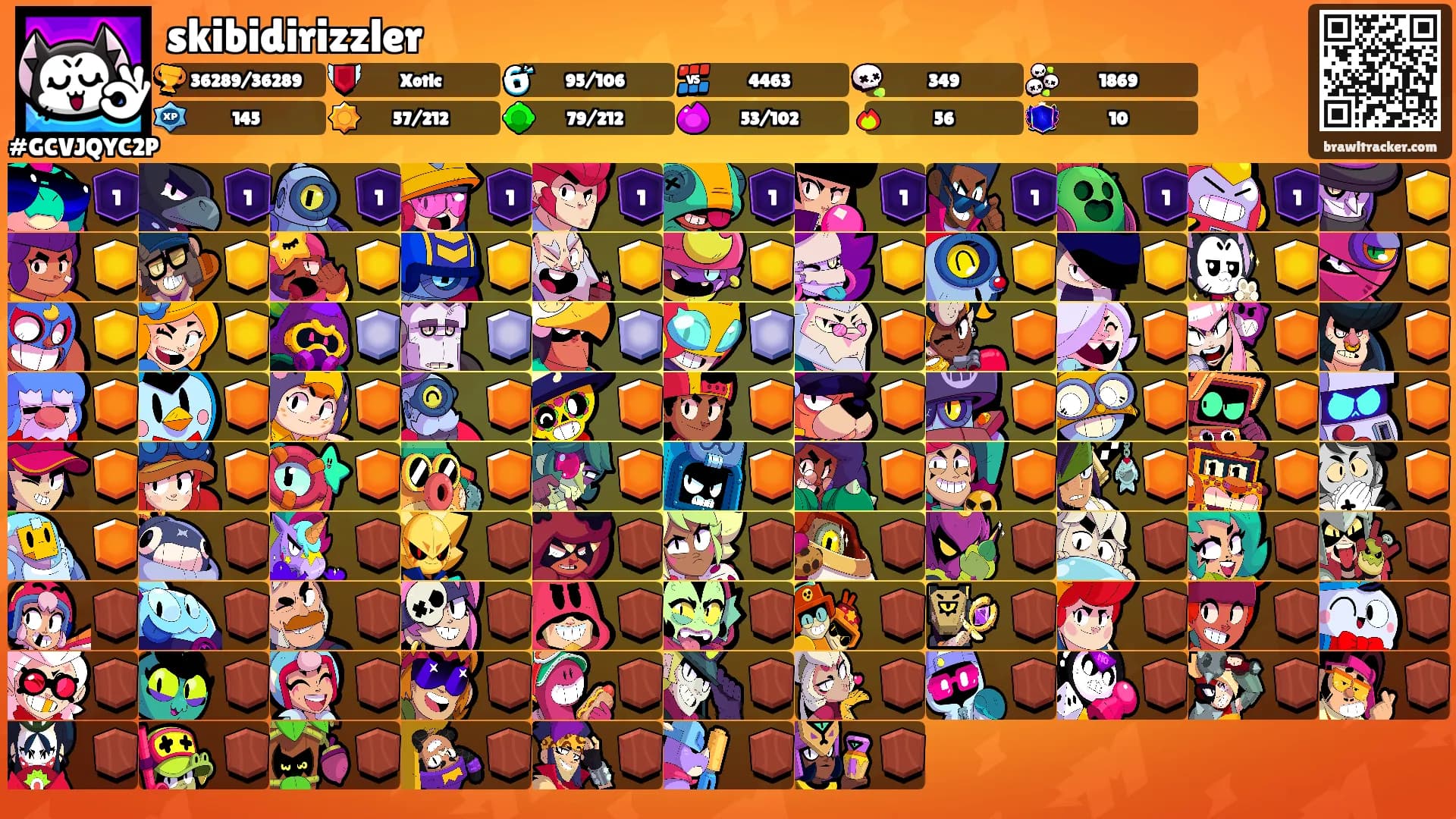 skibidirizzler's Ranks