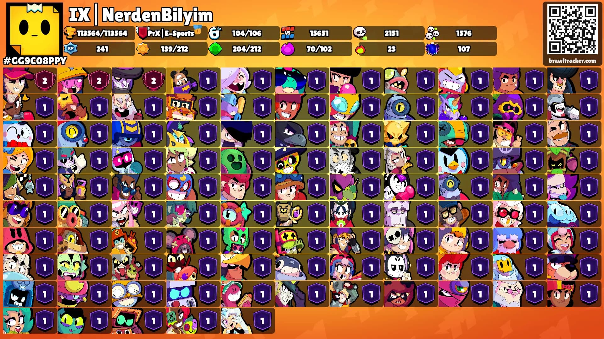 IX|NerdenBilyim's Ranks