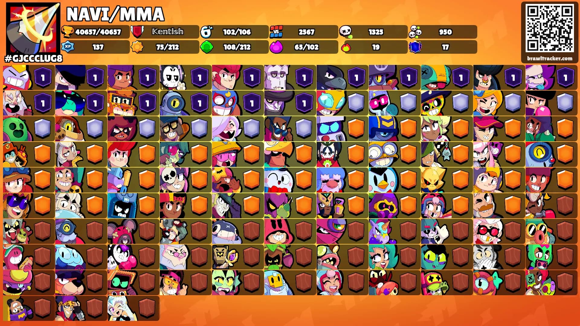 NAVI/MMA's Ranks