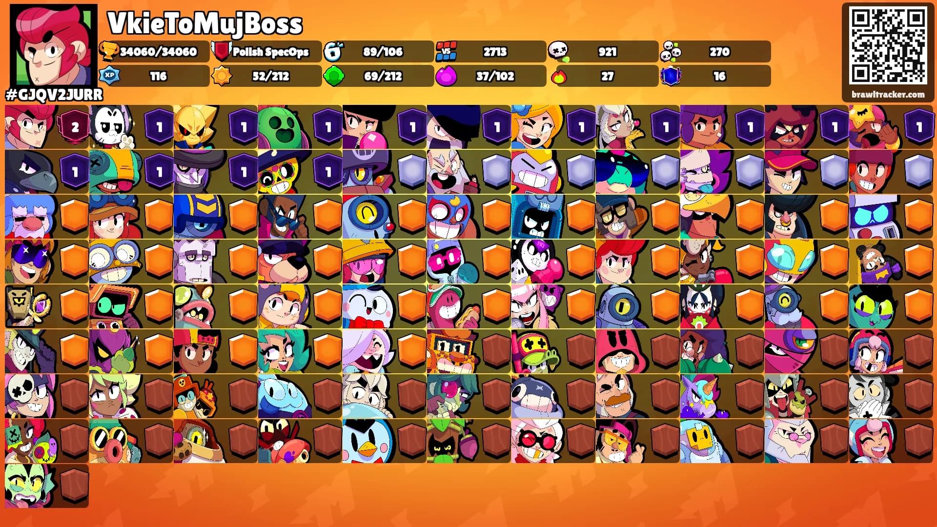 VkieToMujBoss's Ranks