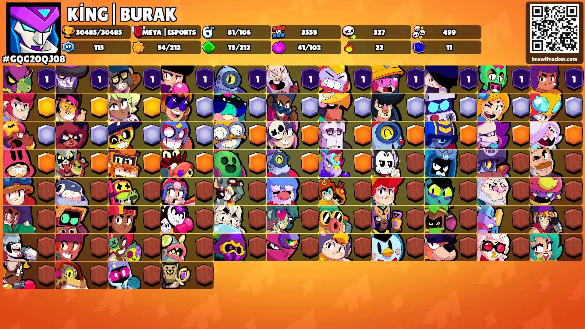 KİNG|BURAK's Ranks