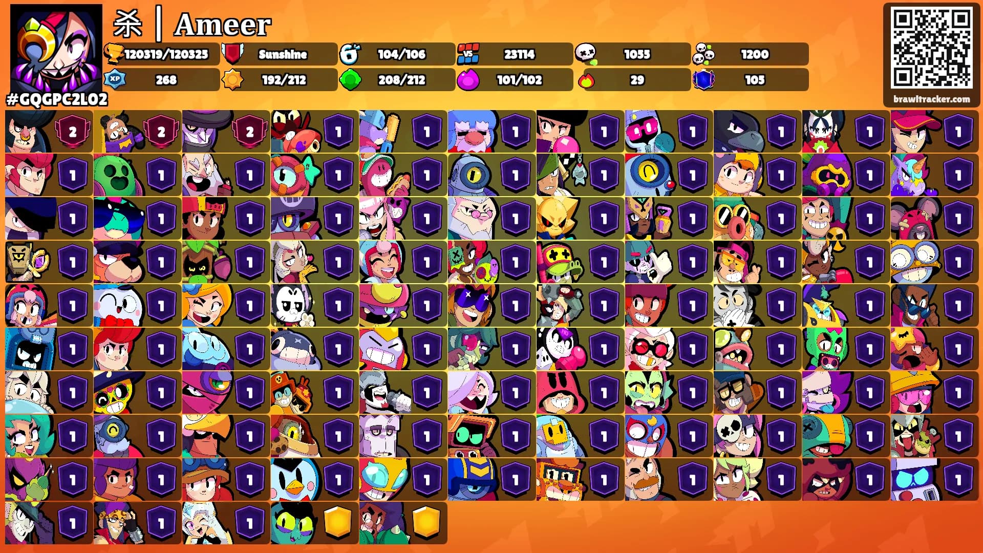 杀 | 𝐀𝐦𝐞𝐞𝐫's Ranks