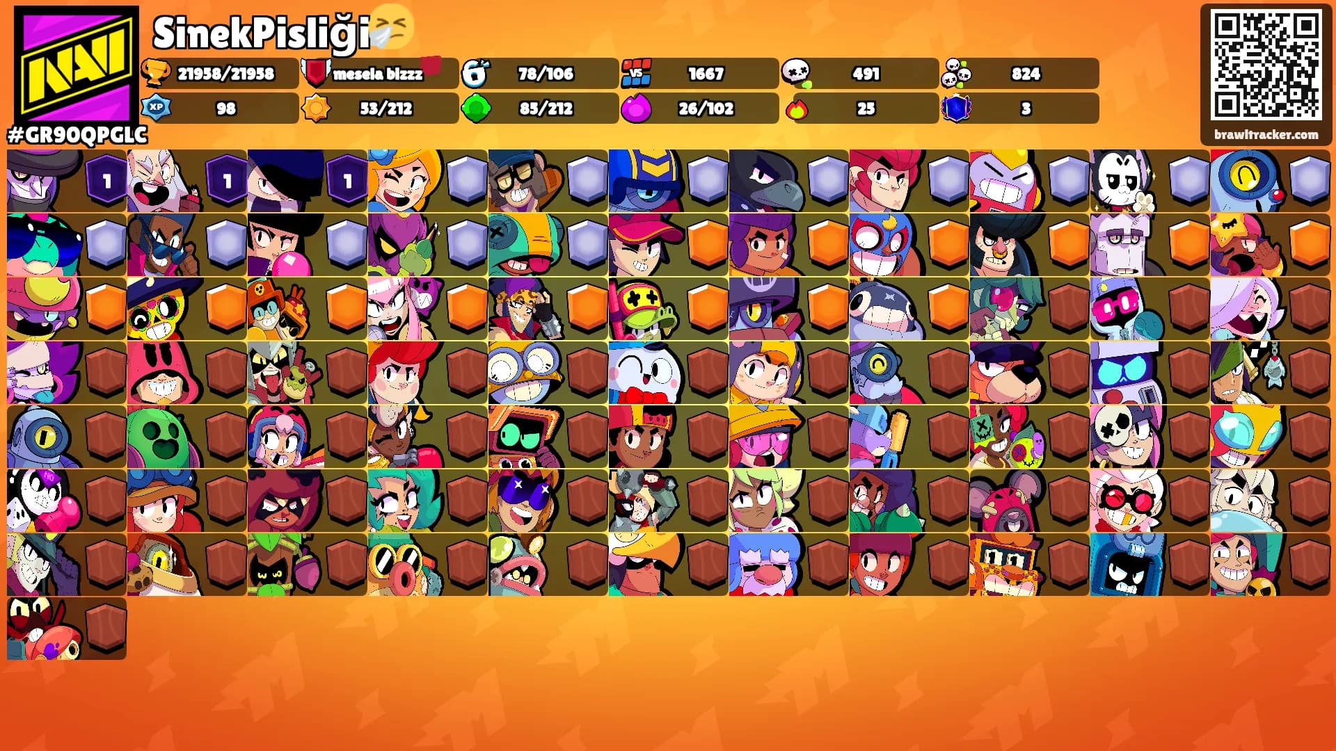 SinekPisliği🤧's Ranks
