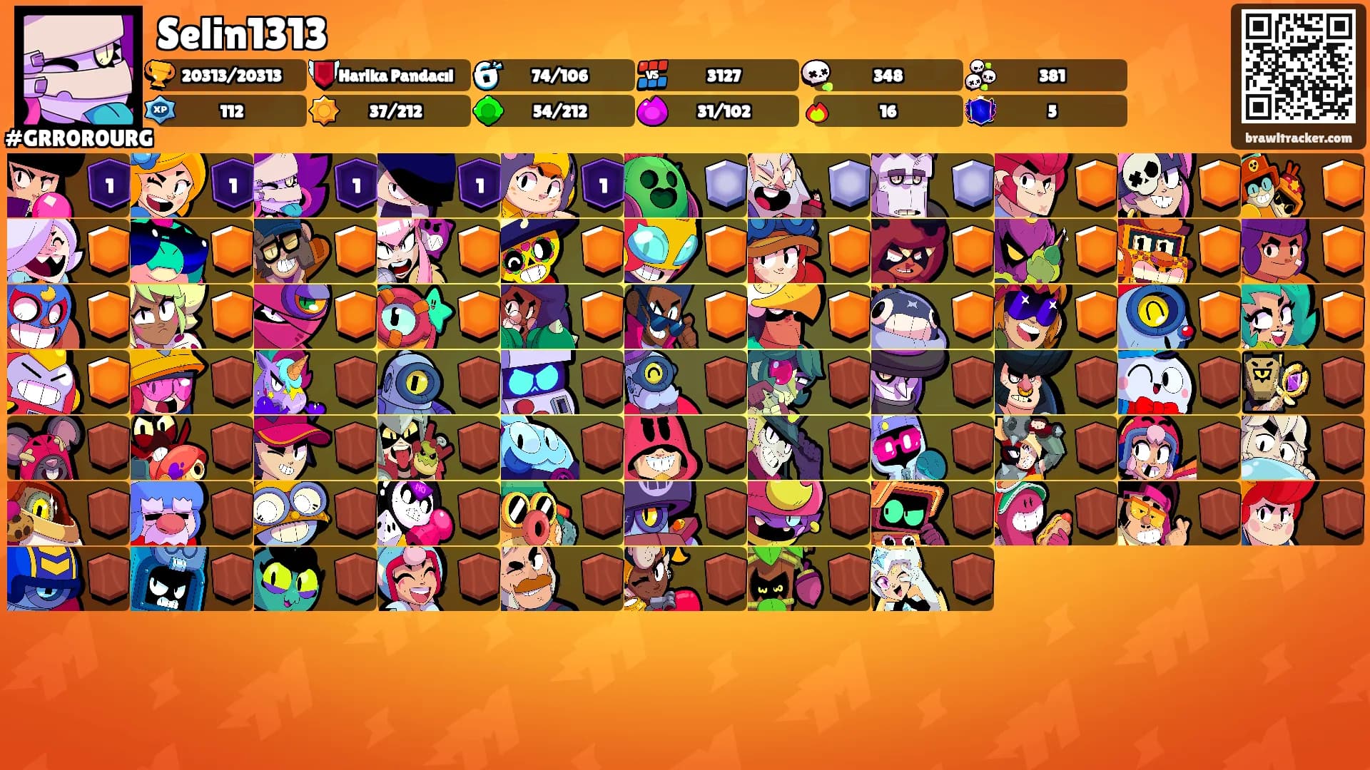 Selin1313's Ranks