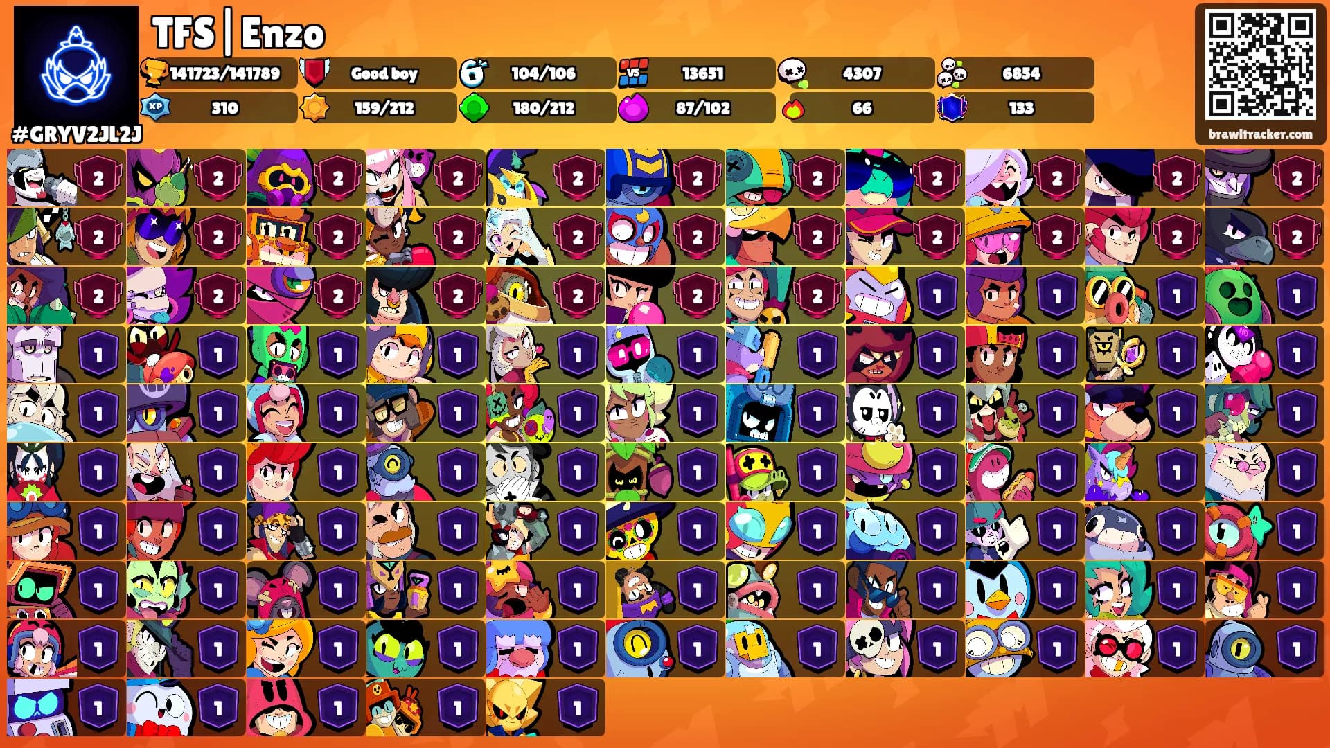 TFS|Enzo's Ranks