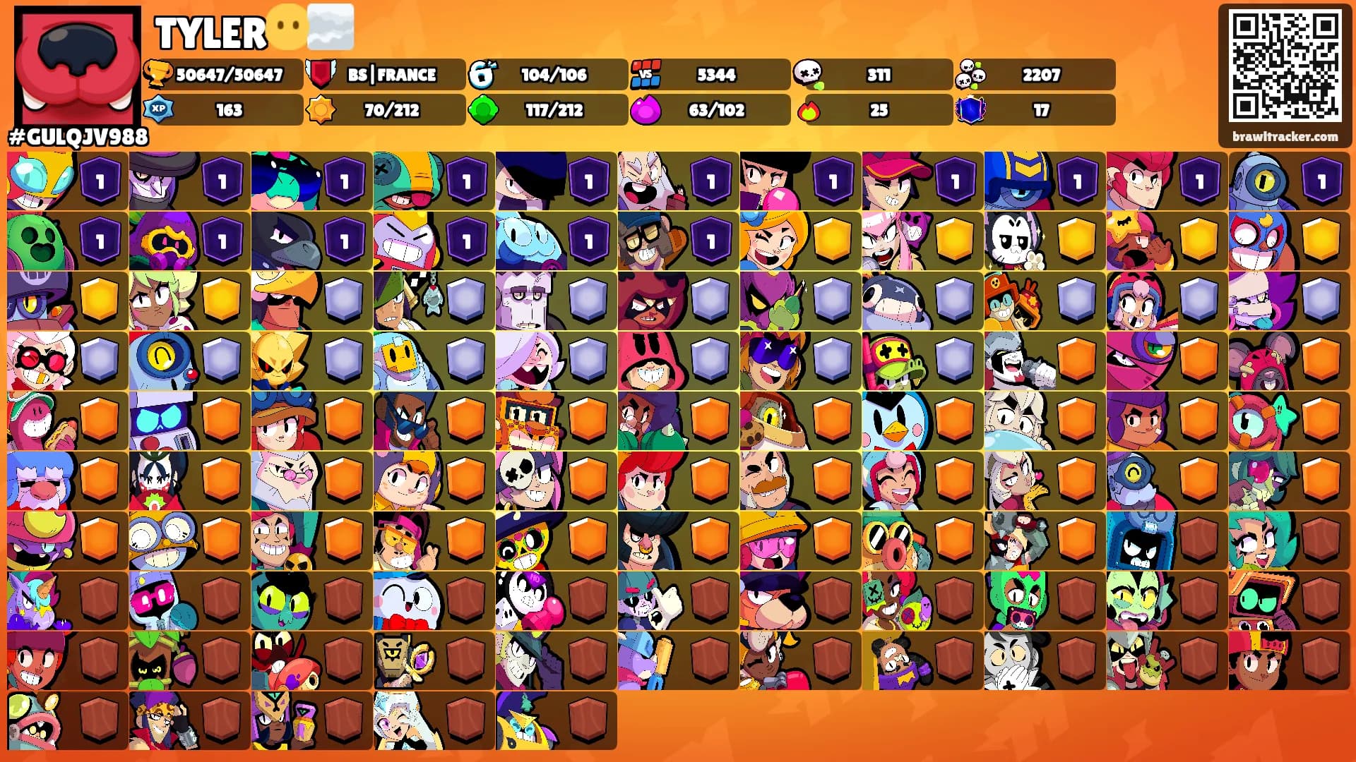 TYLER😶‍🌫️'s Ranks