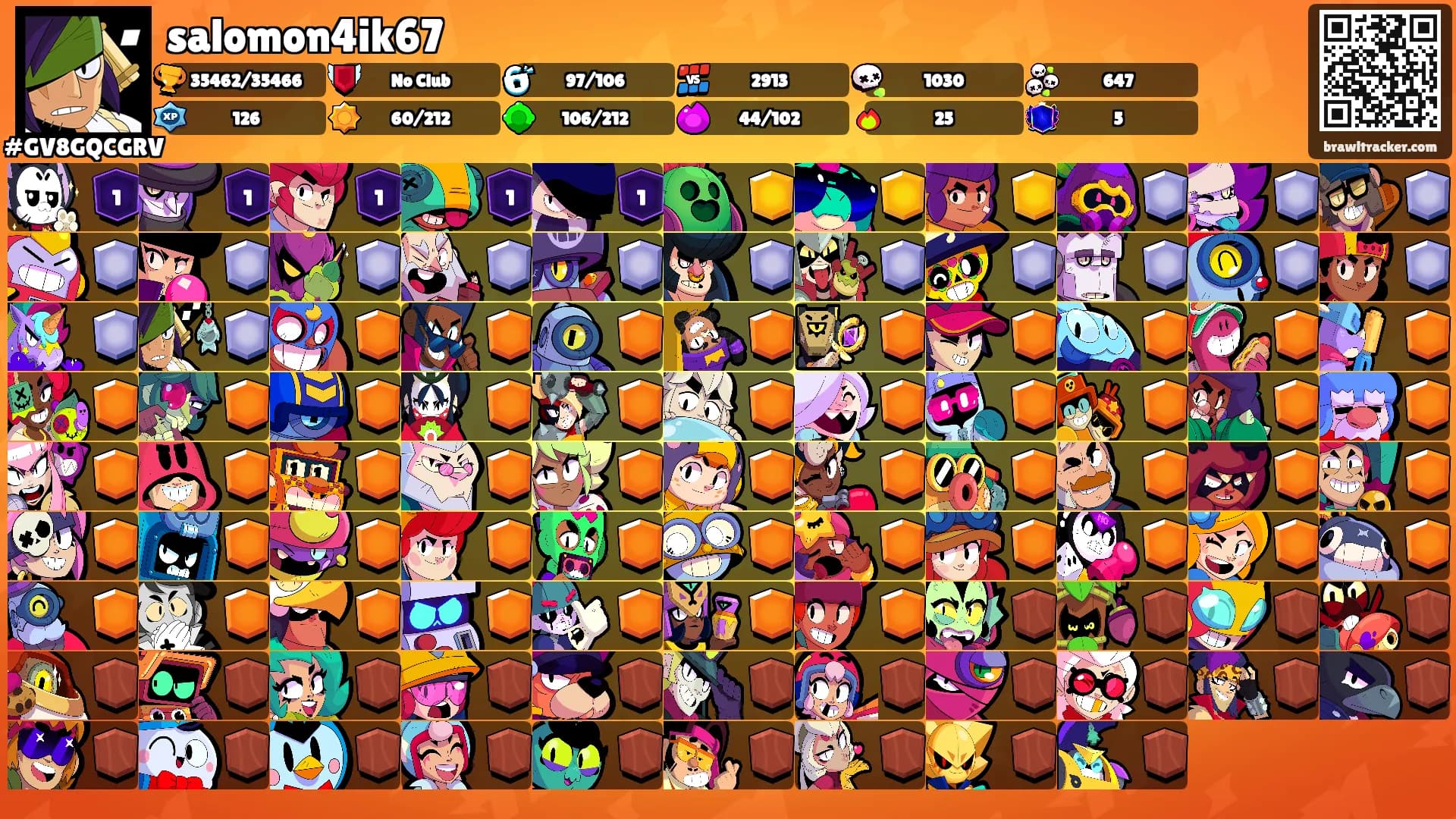 salomon4ik67's Ranks