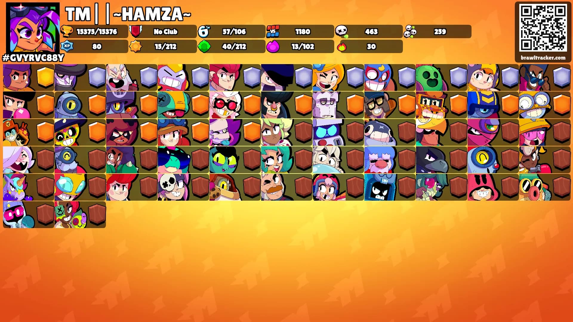 TM||~HAMZA~'s Ranks