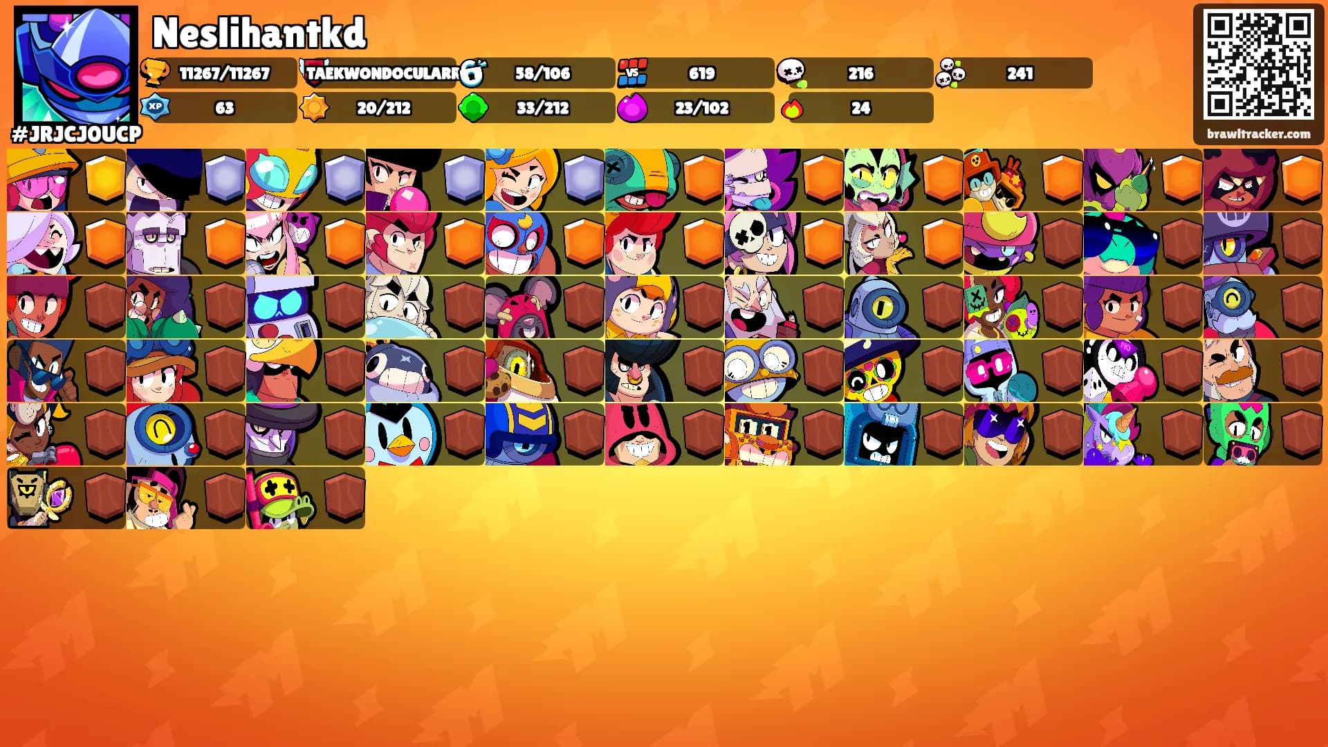 Neslihantkd's Ranks