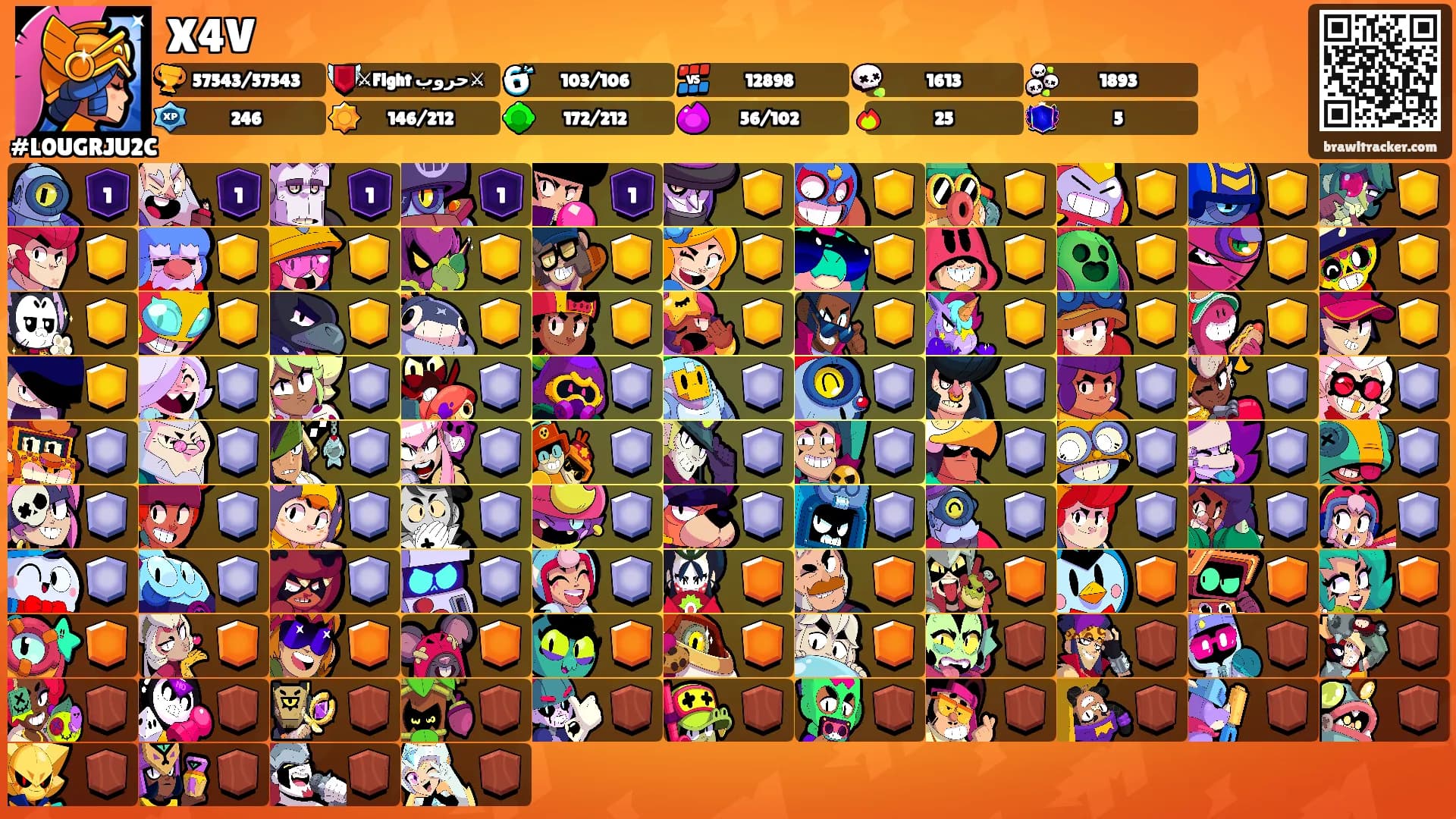 X4V's Ranks