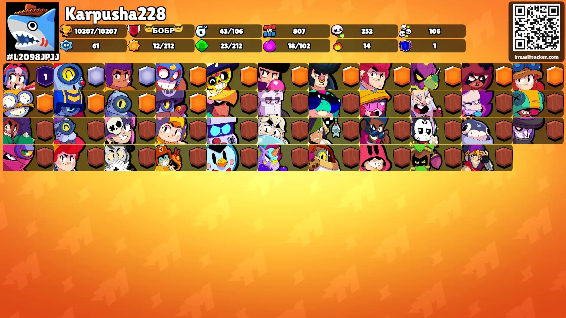 Karpusha228's Ranks