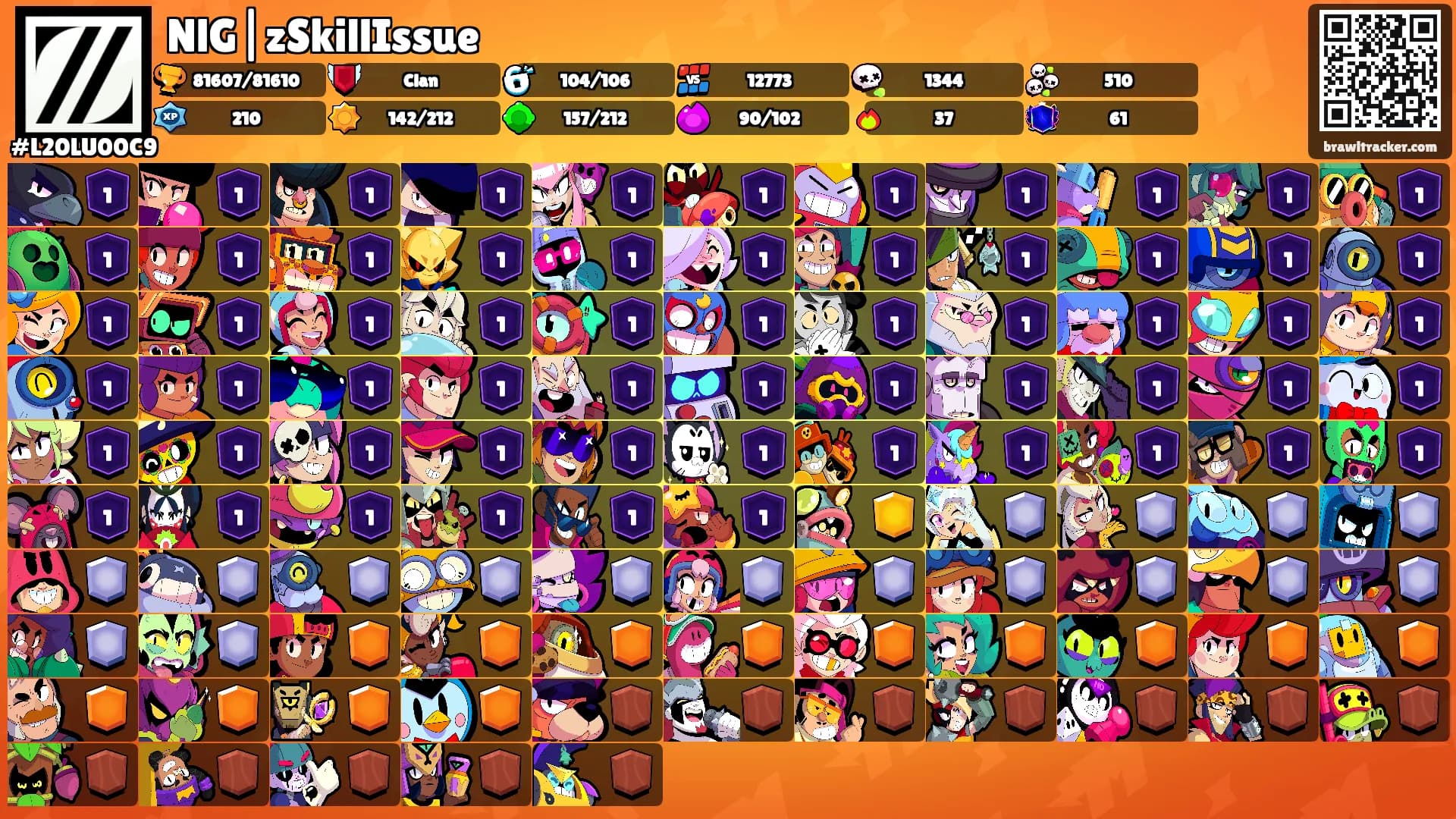 NlG|zSkillIssue's Ranks