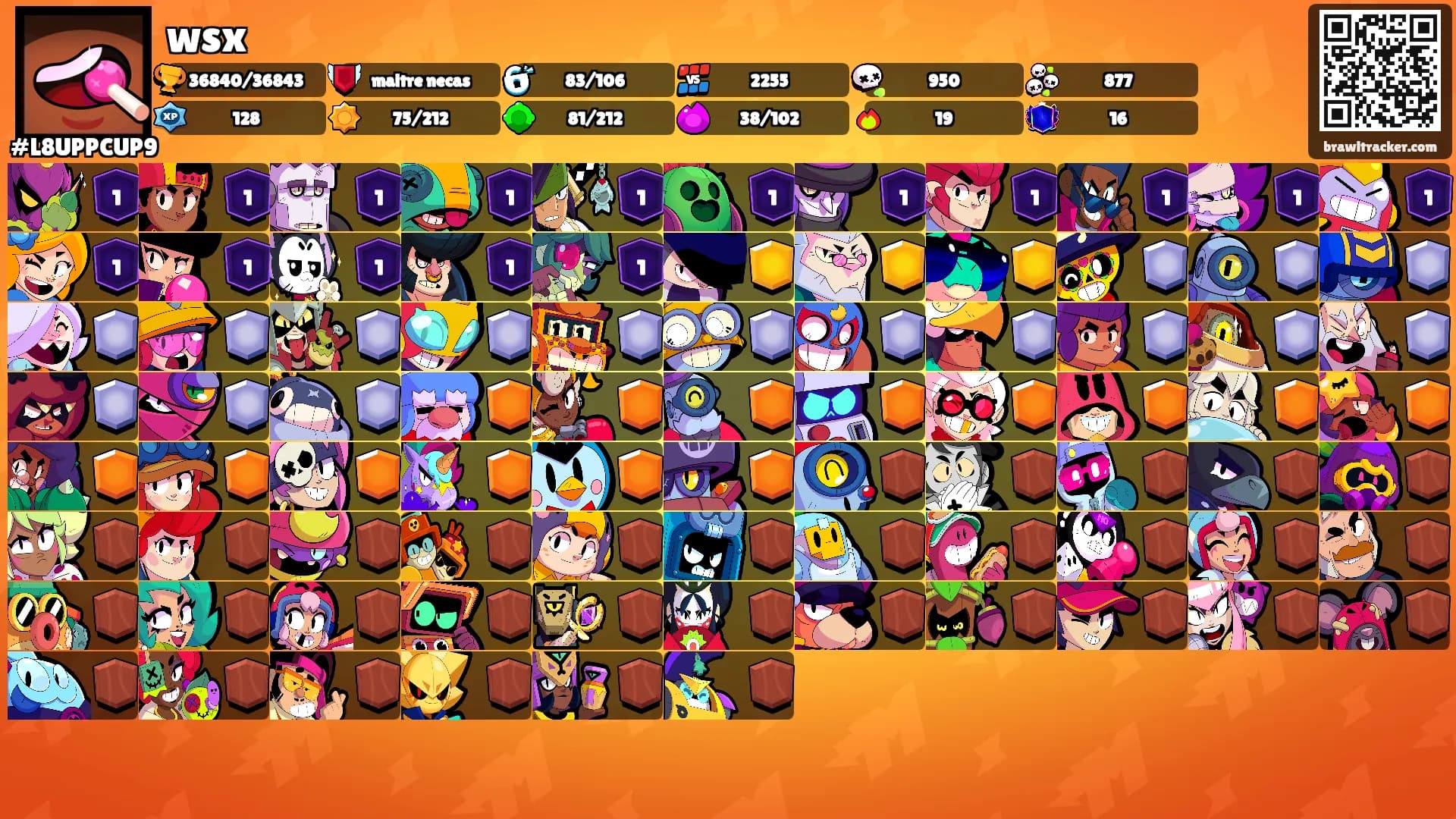 wsx's Ranks