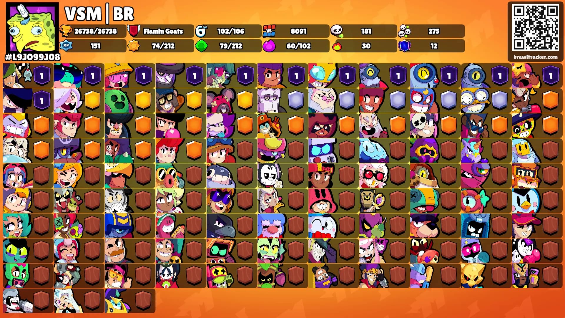VSM|BR's Ranks