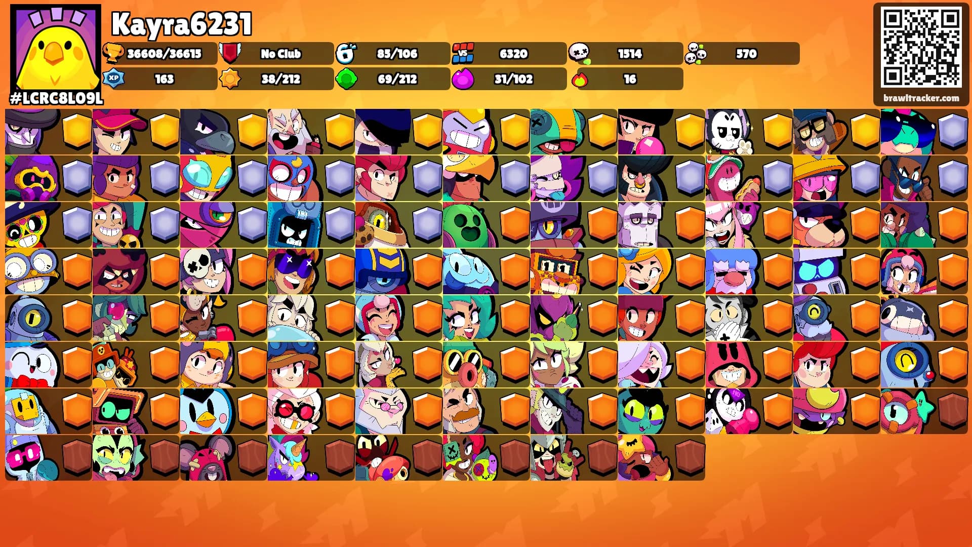 Kayra6231's Ranks