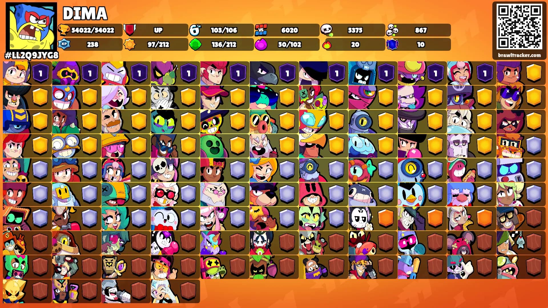 DIMA's Ranks