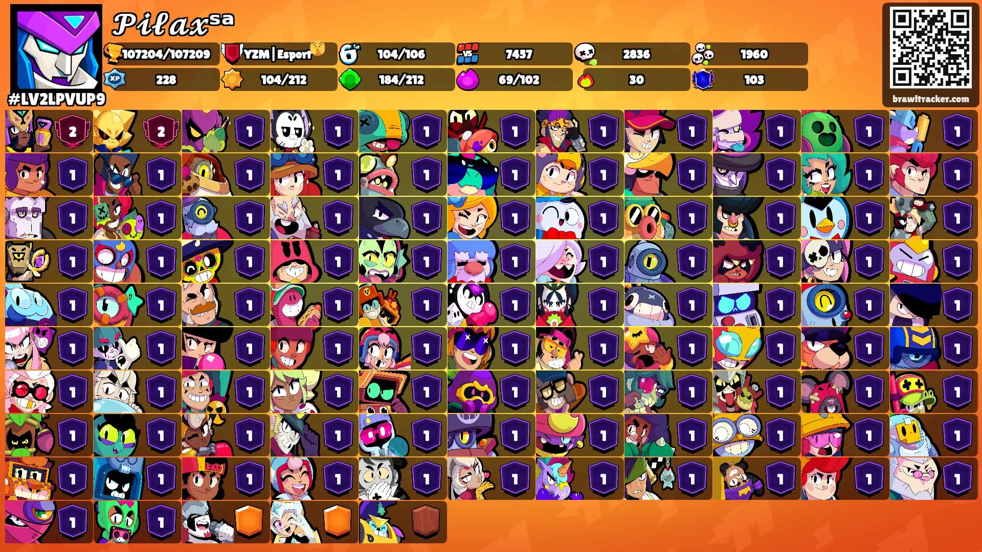 𝓟𝓲𝓵𝓪𝔁ˢᵃ's Ranks