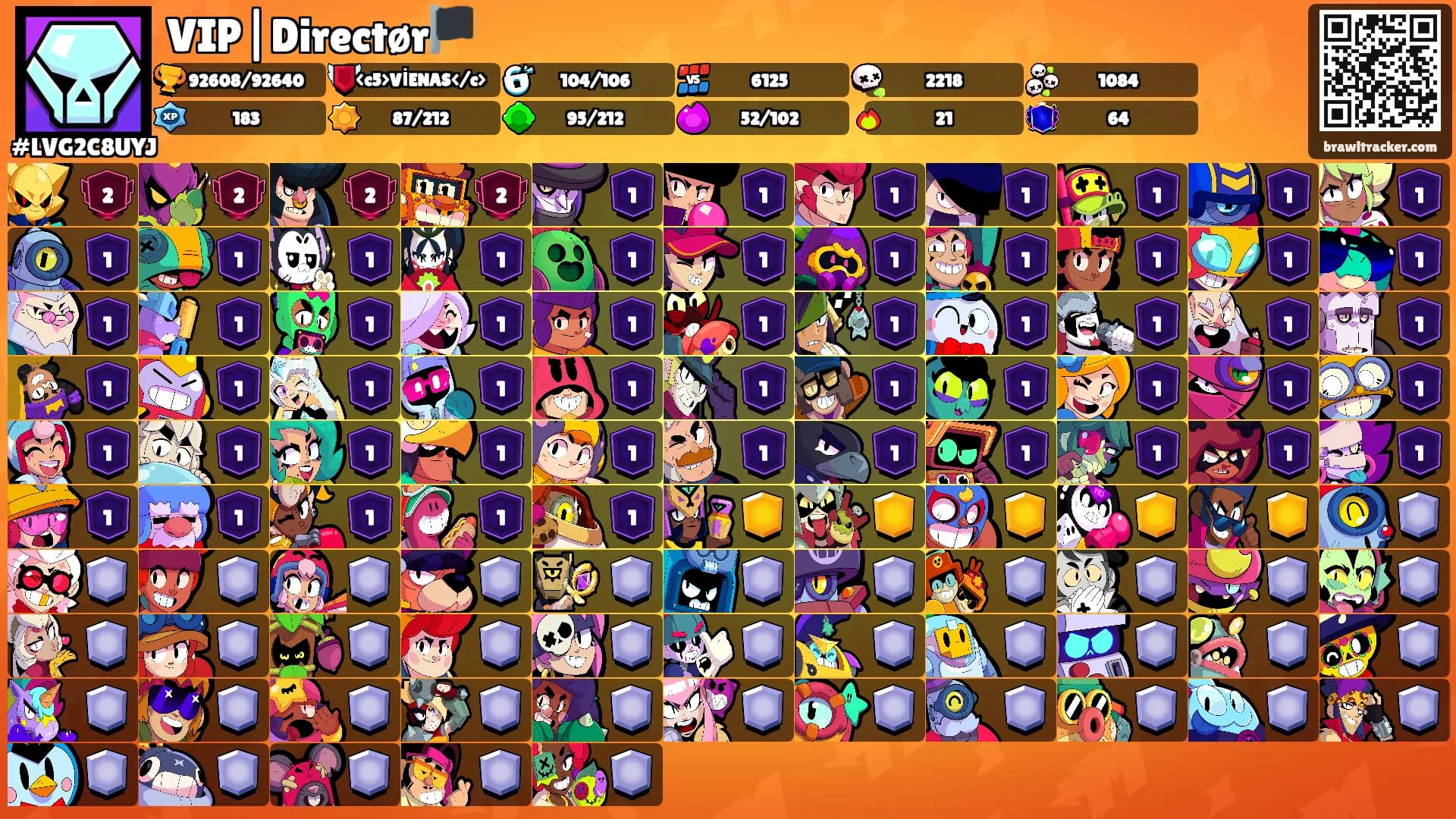 VIP|Directør🏴's Ranks