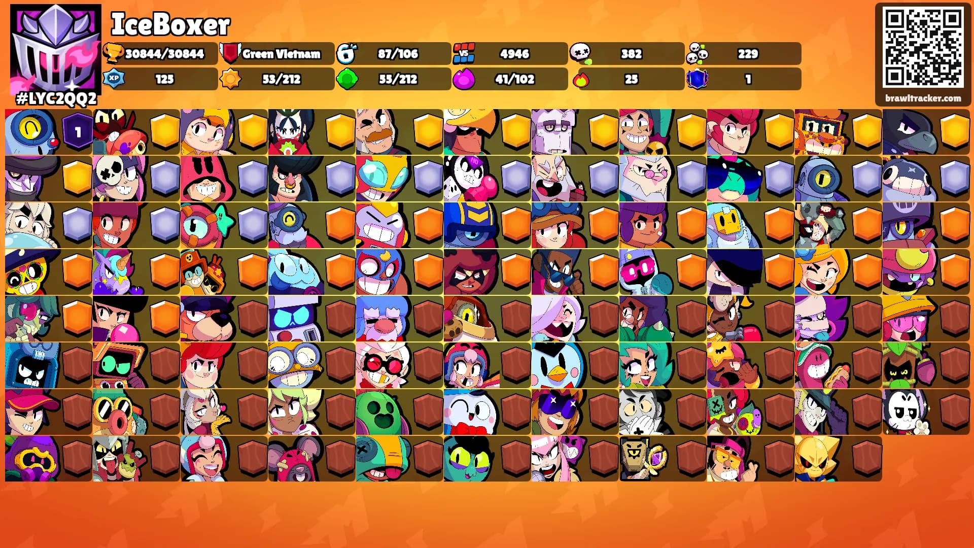 IceBoxer's Ranks