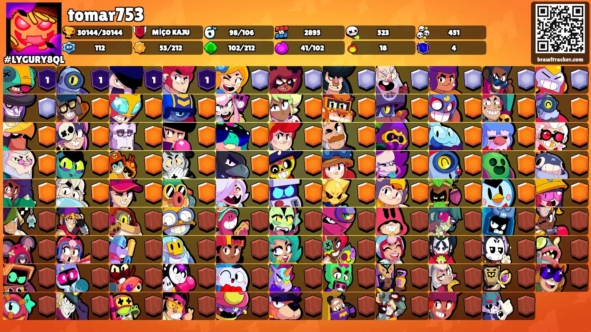 tomar753's Ranks