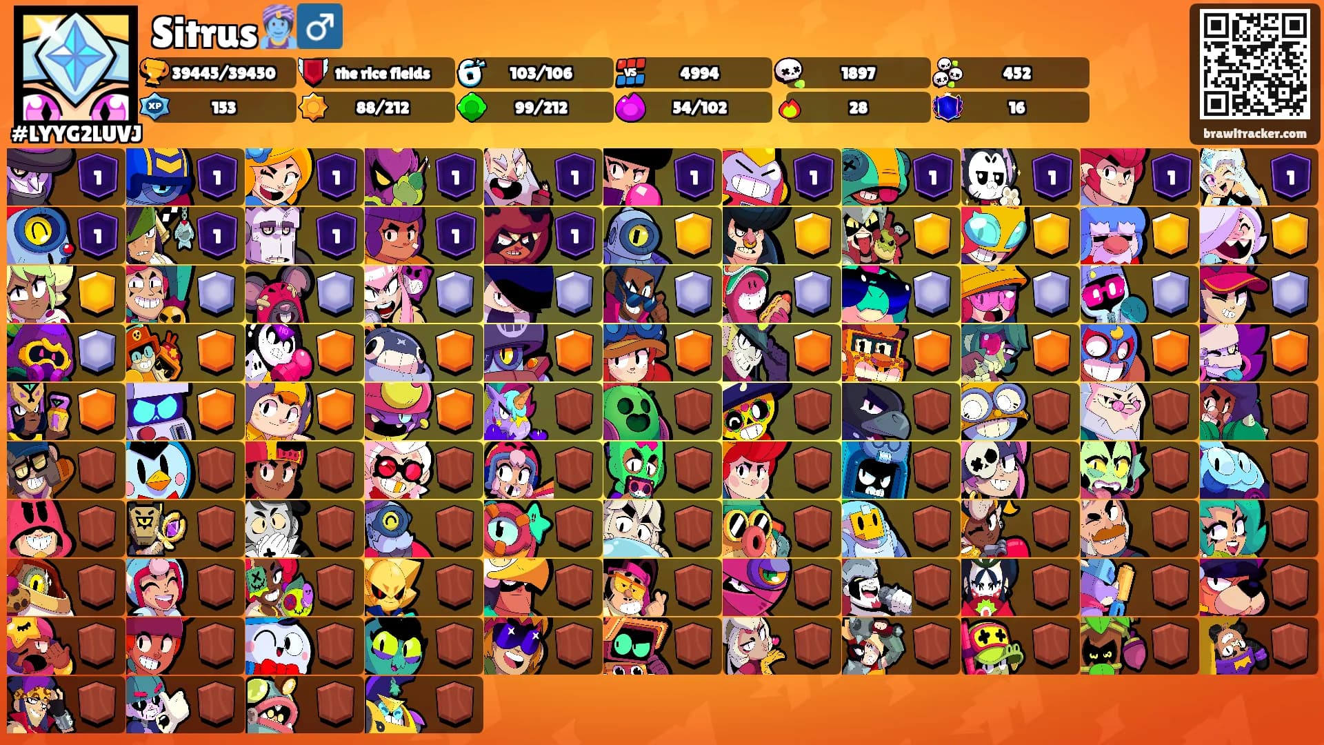 Sitrus🧞‍♂️'s Ranks
