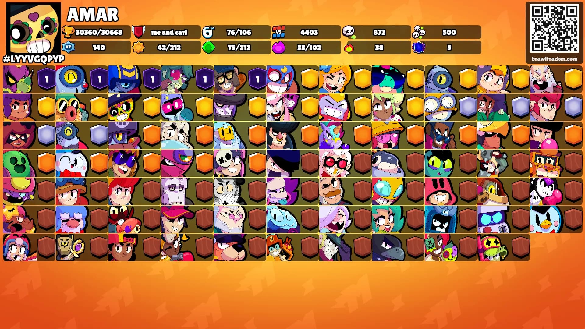 AMAR's Ranks