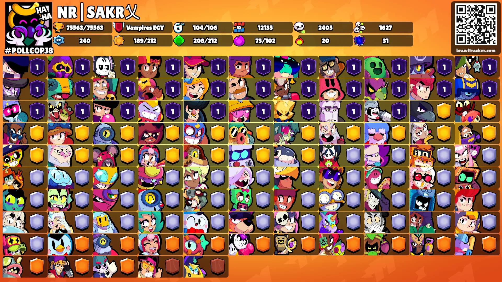 NR|SAKR乂's Ranks