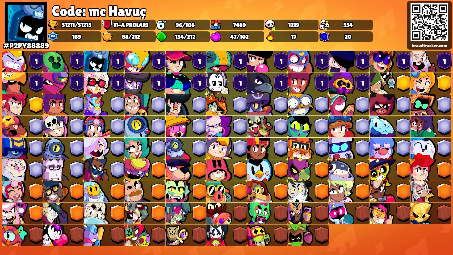 Code: mc Havuç's Ranks
