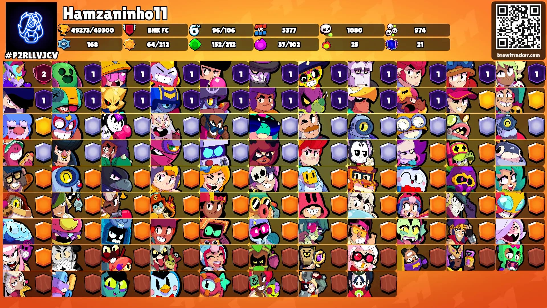 Hamzaninho11's Ranks