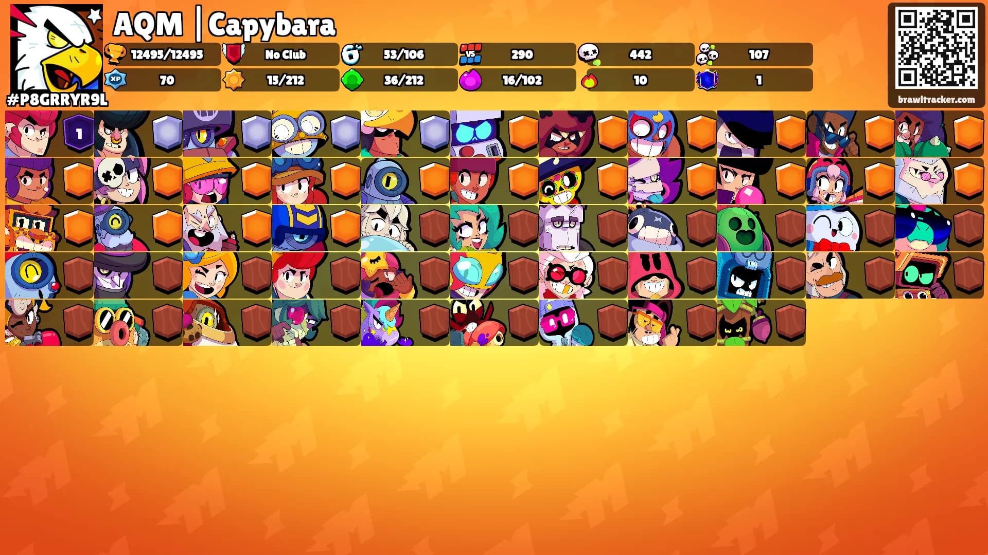 AQM |Capybara's Ranks