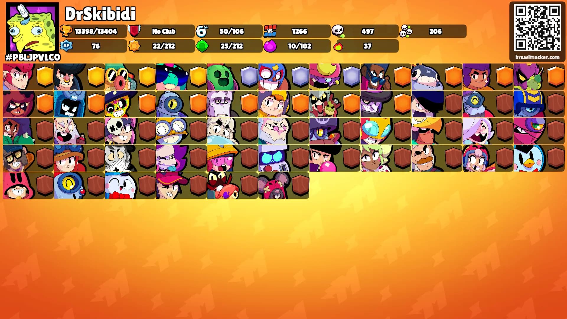 DrSkibidi's Ranks